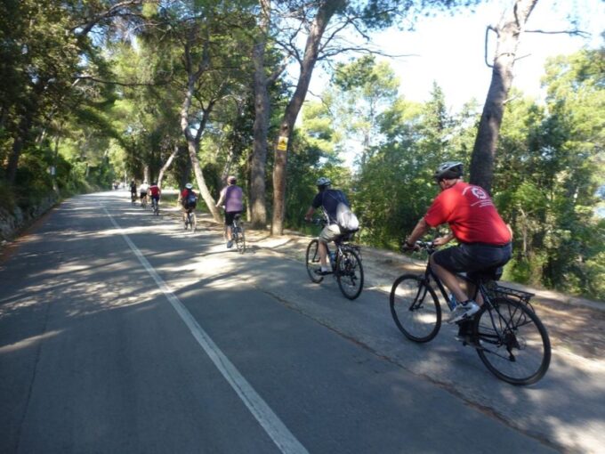 Split 3-Hour Guided Bike Tour - Starting Location