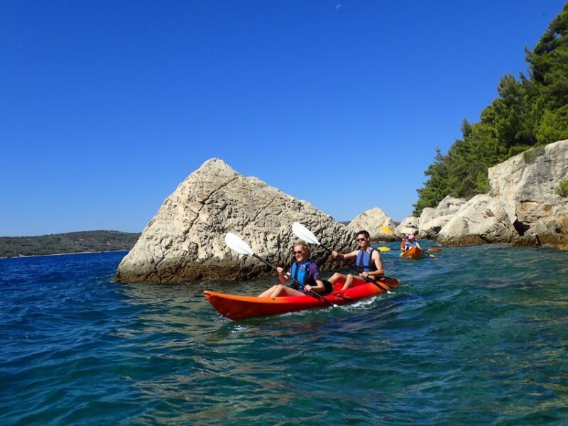 Split 4-Hour Guided Sea Kayak Tour - Good To Know