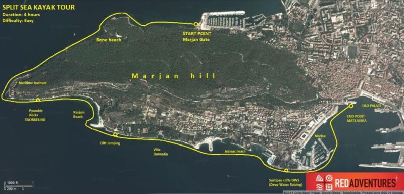 Split 4-Hour Guided Sea Kayak Tour - Customer Feedback