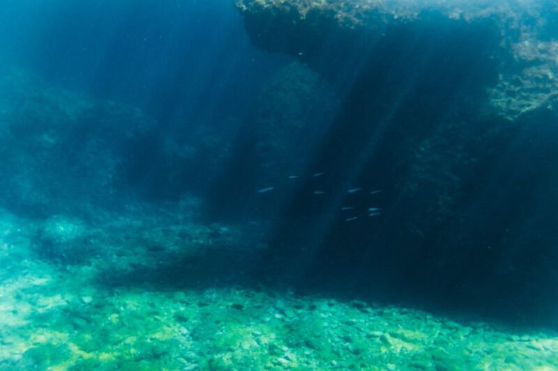 Split: 45-minute Semi-Submersible Submarine Trip - Tour Options