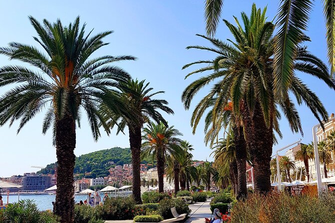 Split and Ston Private Tour - Customer Feedback and Ratings