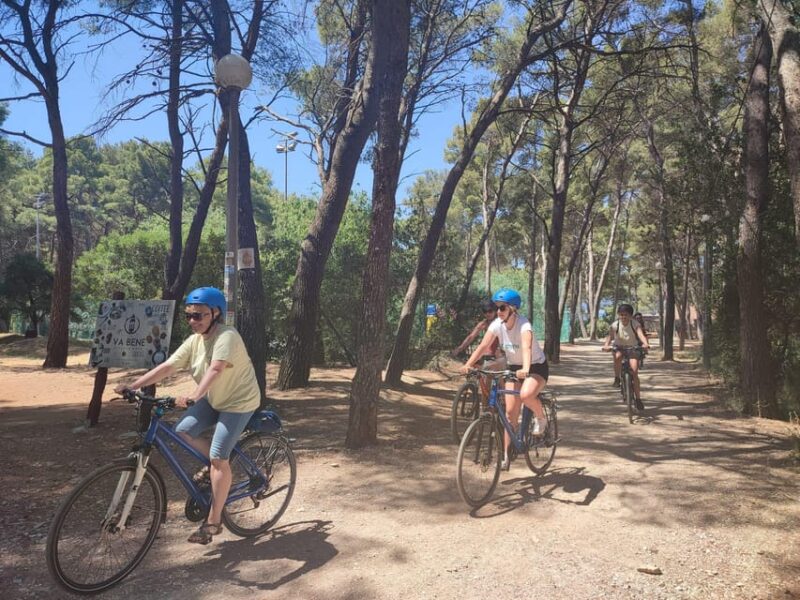 Split Bike & Wine Experience - Booking Information
