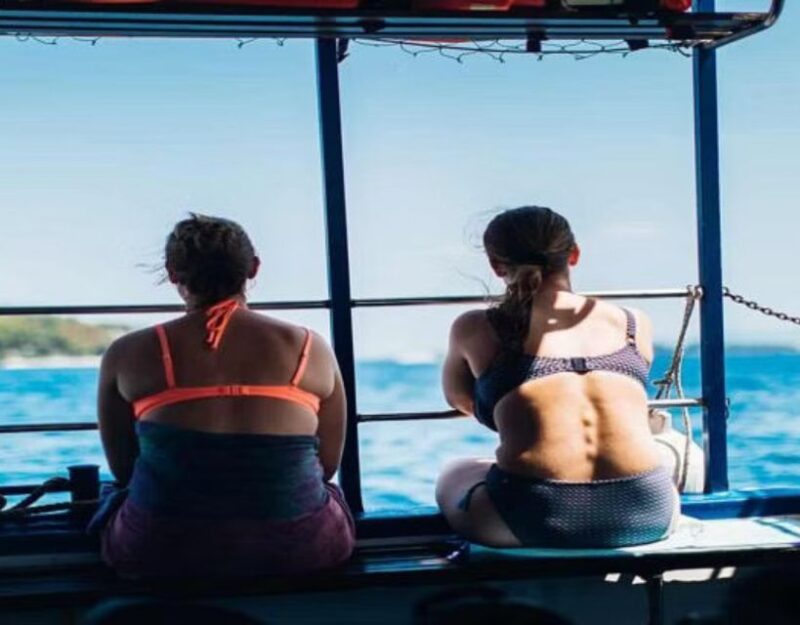 Split: Blue Lagoon Boat Trip With Lunch, Wine and Snorkeling - Customer Feedback