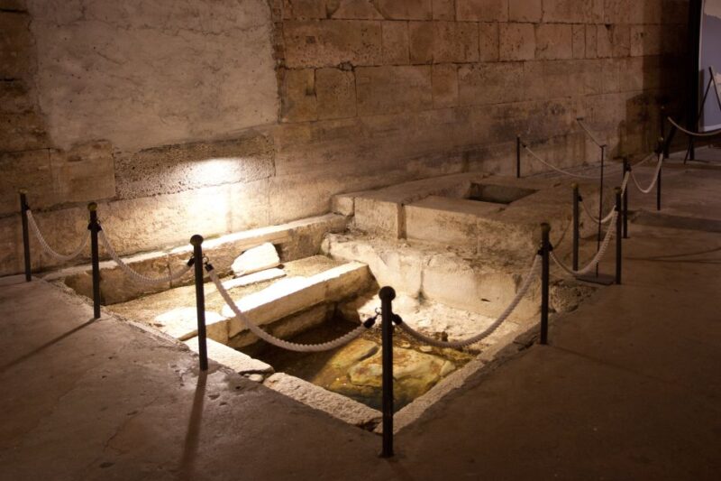 Split: Entry Ticket to the Cellars of Diocletians Palace - Experience Highlights