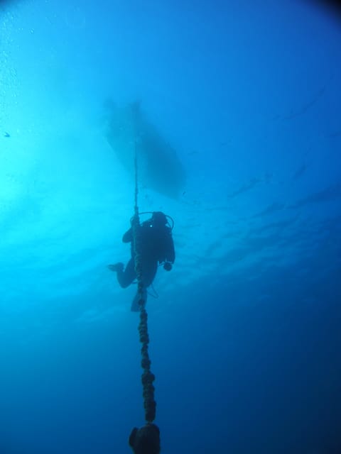 Split-Makarska-Brela Try SCUBA Dive - Good To Know