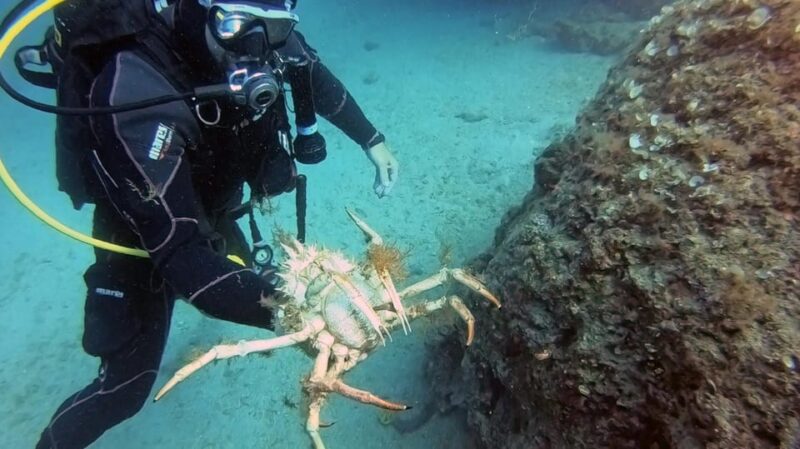 Split-Makarska-Brela Try SCUBA Dive - Underwater Adventure