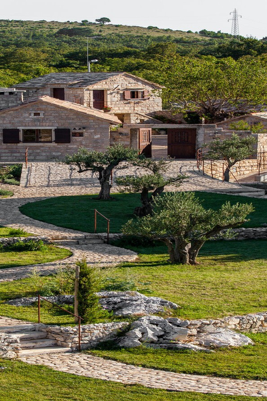 Split: Olive Museum Klis With Olive Oil Tasting - Tasting Experience