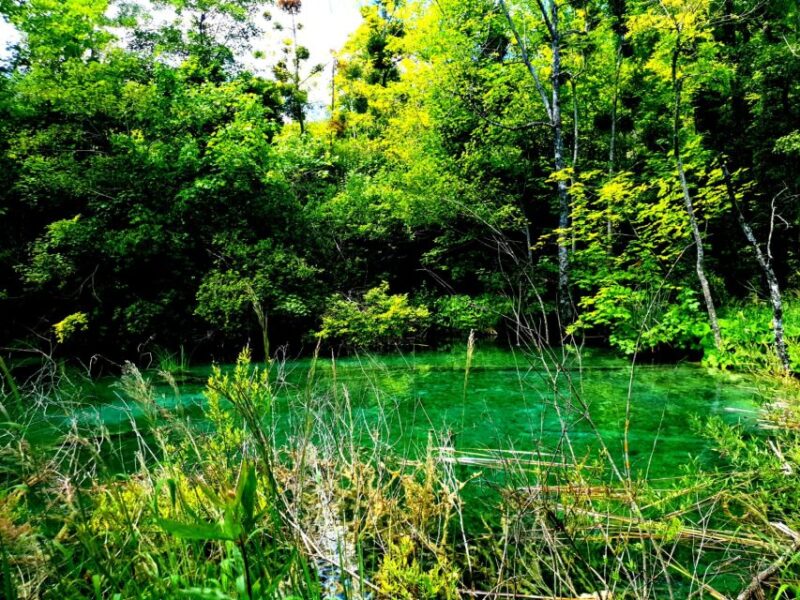 Split: Plitvice Lakes Guided Day Tour With Entry Tickets - Meeting Point and Requirements