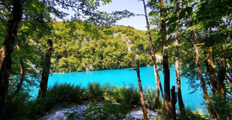 Split: Plitvice Lakes Guided Day Tour With Entry Tickets - Customer Feedback and Ratings