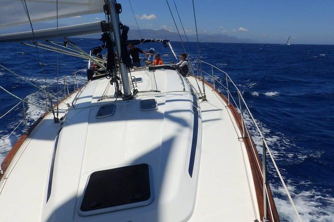 Split: PRIVATE Full-Day Sail Yacht Cruise - per Group (Up to 12)! - Itinerary and Activities