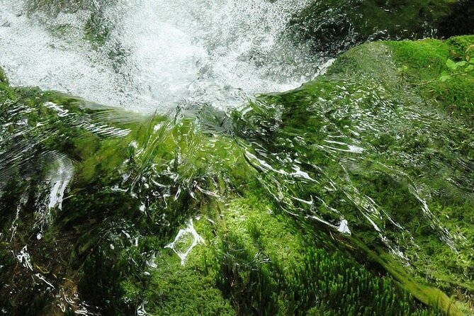 Split to Zagreb or Airport Zagreb via Plitvice Lakes for Singles or Couples - Since You Asked