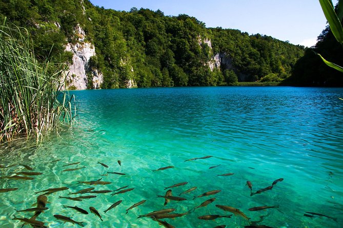 Split to Zagreb via Plitvice National Park Private Transfer - Customer Reviews and Ratings