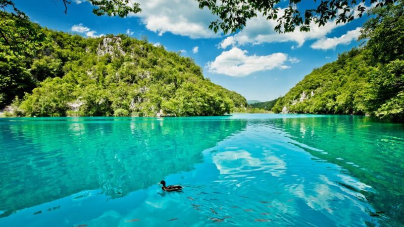 Split: Transfer to Zagreb With Plitvice Lakes Entry Tickets - Participant Eligibility and Requirements