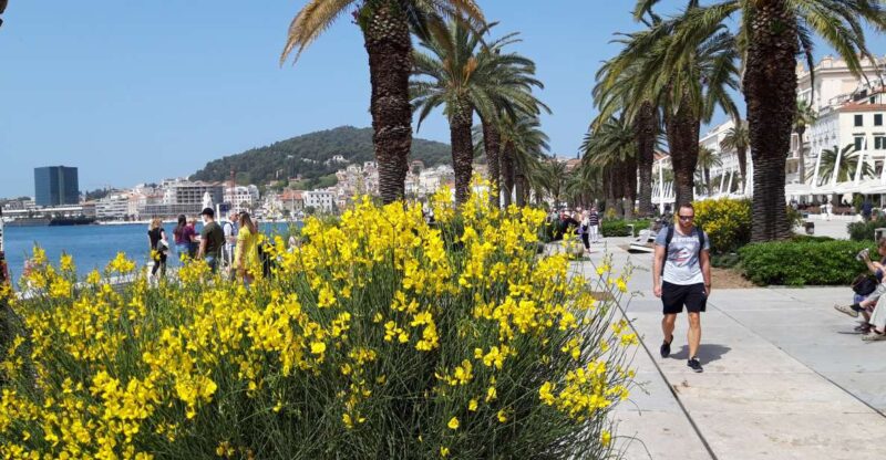 SPLIT:BOUTIQUE Emperors Walking Tour for History Lovers - Tour Inclusions