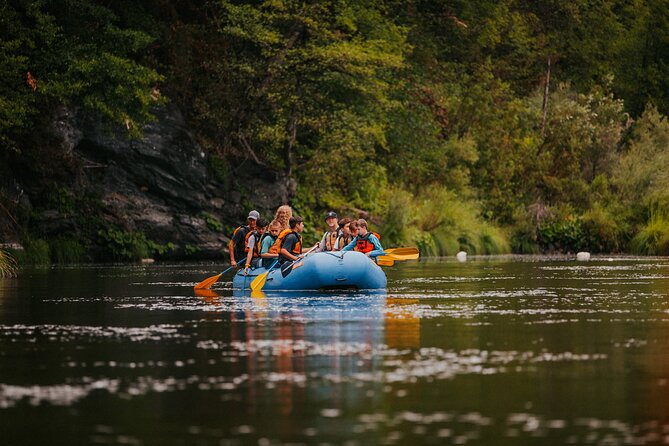 Splits Ultimate Rush: Rafting the Cetina Rapids & Cliff Jumping - Customer Feedback and Experiences