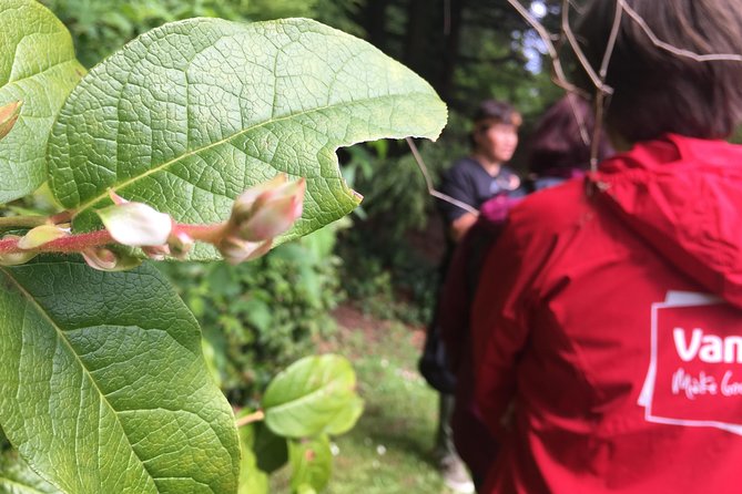 Spoken Treasures: Stanley Park Indigenous Walking Tour - Tour Inclusions and Duration