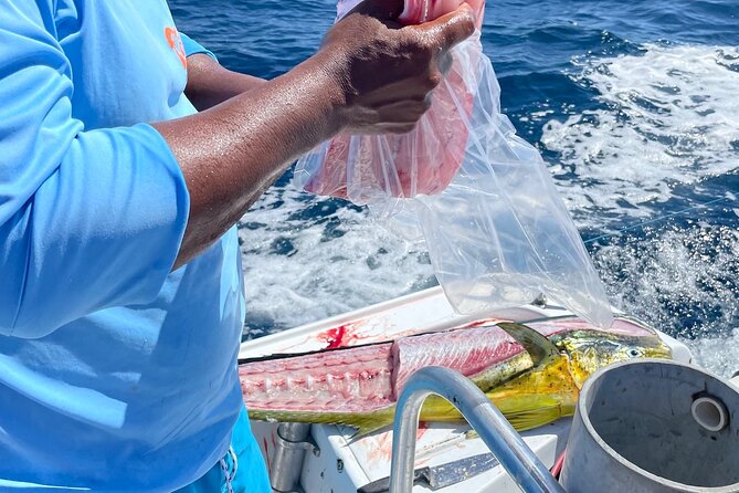 Sport Fishing 6 Hours Private Guided Tour in Flamingo Costa Rica - About Playa Flamingo