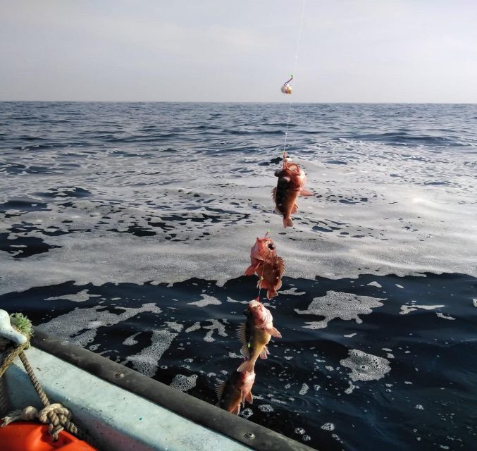 Sport Fishing by Boat & Chilean Empanadas From Valpara - Fishing Gear and Equipment