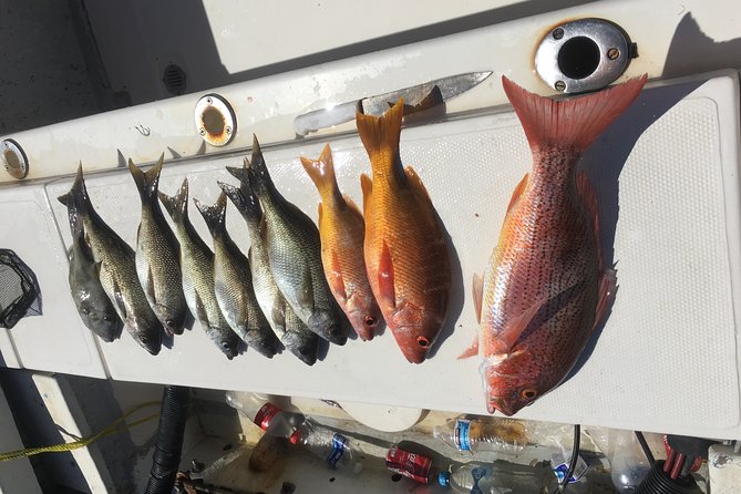 Sport Fishing - Customer Reviews and Feedback