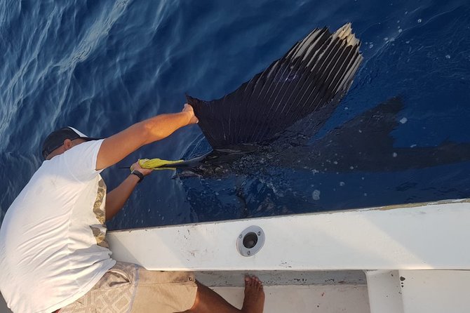 Sport Fishing - Fishing Experience Highlights