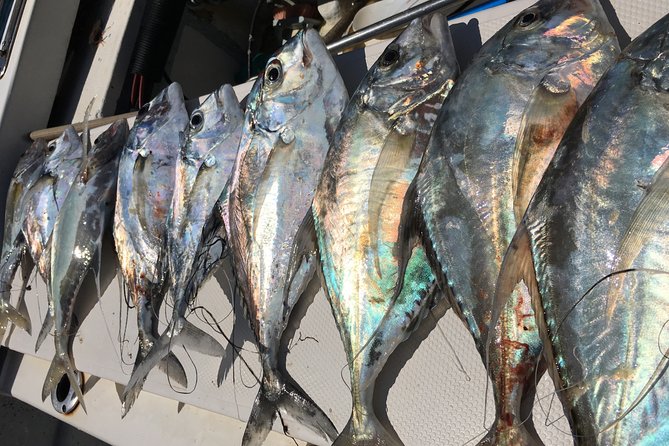 Sport Fishing - Frequently Asked Questions