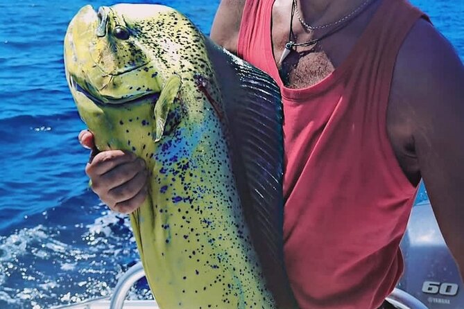 Sport Fishing Half Day a Guided Private Tour Flamingo Costa Rica - Inclusions