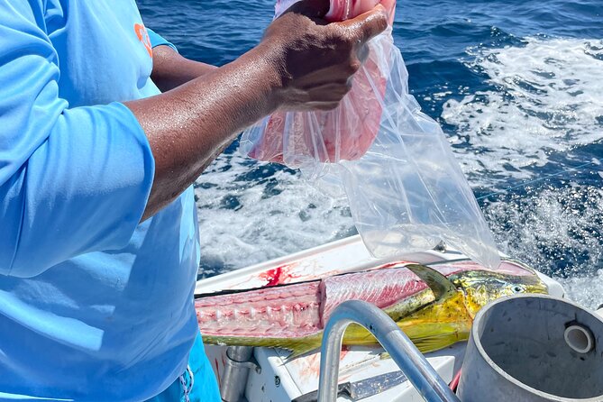 Sport Fishing Half Day a Guided Private Tour Flamingo Costa Rica - Meeting and Pickup