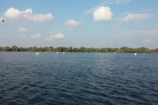 Sport Fishing in Delta Dunarii With Camely Cruise Boat. - Water and Parking