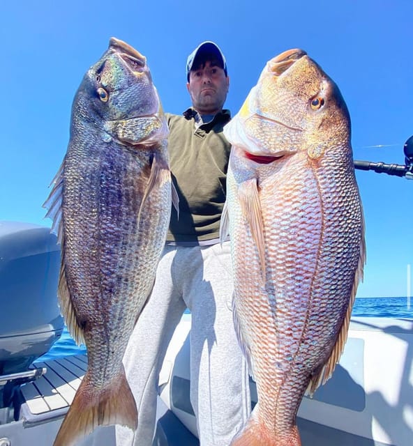 Sport Fishing Tour - Coastal Scenery and Landscapes