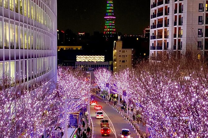 Sports and Classic Car Tour in Tokyo - Start and End Points