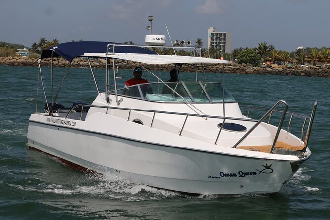 Sports Boat- Private Whale Watching Trip( Free Breakfast & Paid Pick-Up) - Included Amenities and Services