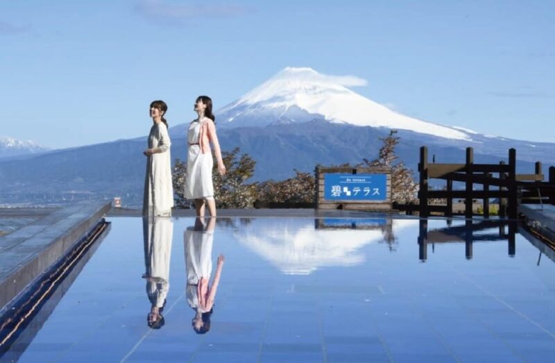 Spring Ahead! One-Day Bus Tour to See Kawazu Cherry Blossoms - Experience Highlights