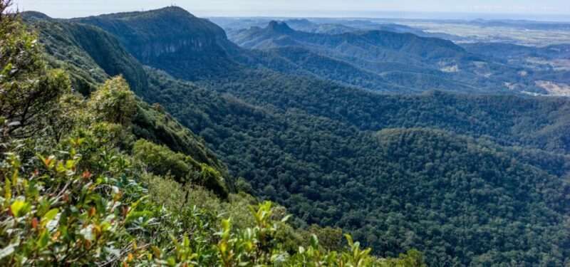Spring Brook National Park Driving Tour With an APP - Key Points