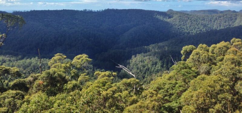 Spring Brook National Park Driving Tour With an APP - Experience Highlights