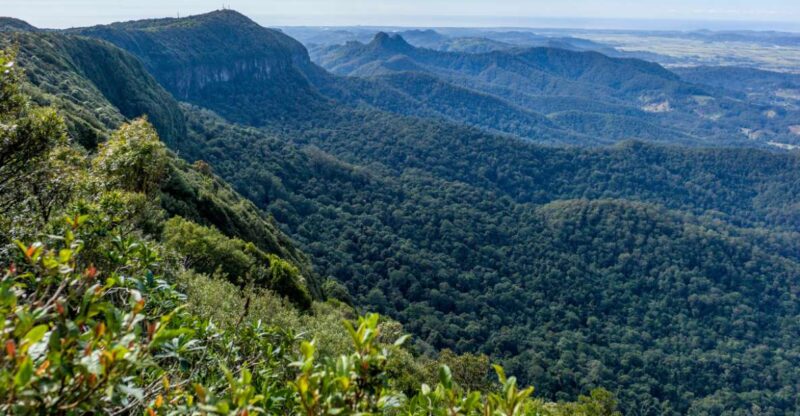 Spring Brook National Park Driving Tour With an APP - Tour Features