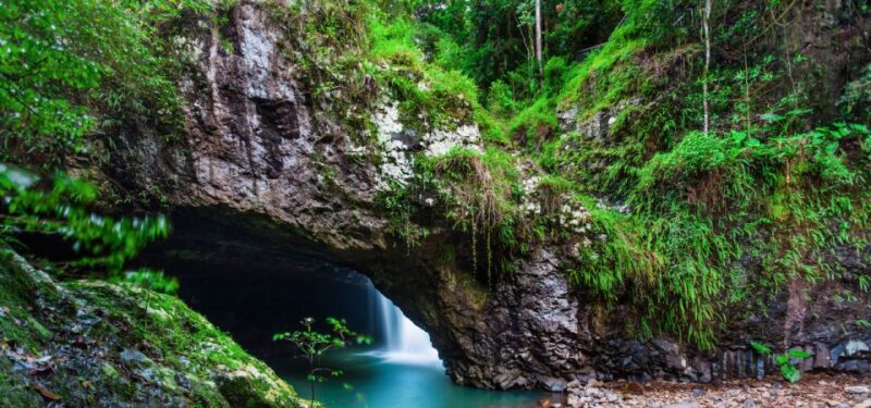 Spring Brook National Park Driving Tour With an APP - What to Bring