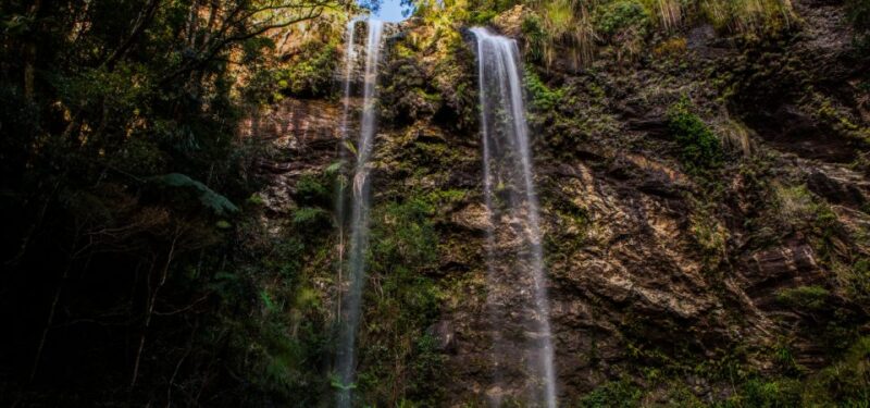 Spring Brook National Park Driving Tour With an APP - Pricing and Policies