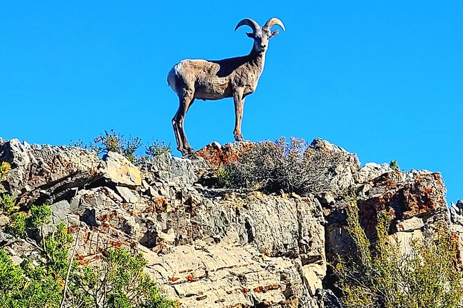 Spring Mountain Scenic Mountains Peak Hike - Meeting and Pickup Details
