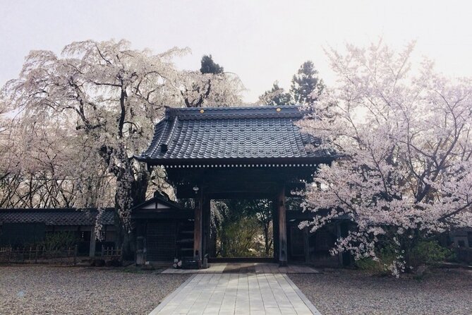 (Spring Only) 1-Day Snow Monkeys & Cherry Blossoms in Nagano Tour - Accessibility and Restrictions