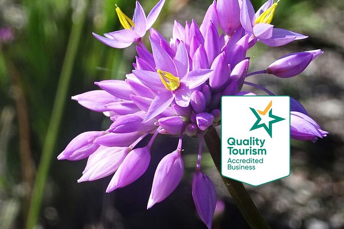 Spring Wildflower Private Day Tours - Tour Features
