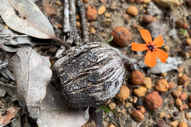 Spring Wildflower Private Day Tours - Customer Feedback