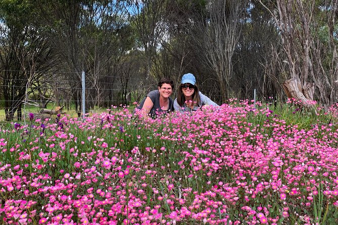 Spring Wildflower Private Day Tours - Expert Guidance