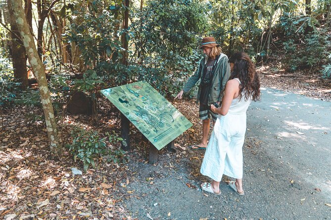 Springbrook Andtamborine Rainforest Tour Incl Natural Bridge and Glow Worm Cave - Included Features