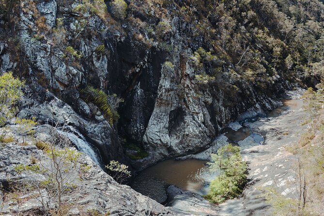 Springbrook Andtamborine Rainforest Tour Incl Natural Bridge and Glow Worm Cave - Hike Past Waterfalls