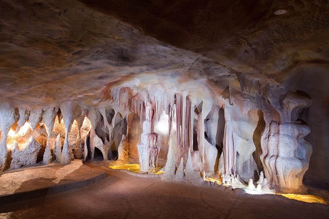 Springbrook Andtamborine Rainforest Tour Incl Natural Bridge and Glow Worm Cave - Explore Springbrook National Park