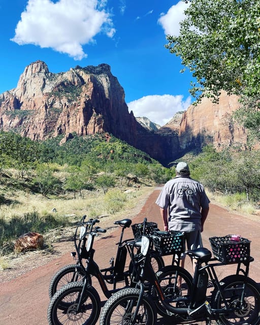 Springdale: Guided Ebike Tour in Zion National Park - Experience Highlights