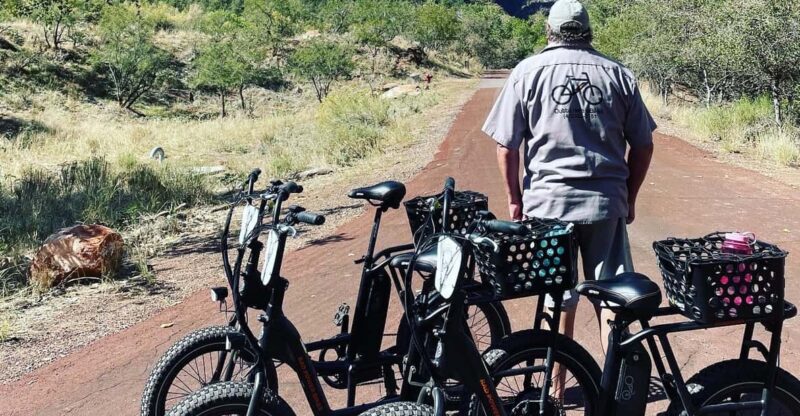 Springdale: Guided Ebike Tour in Zion National Park - Participant Requirements