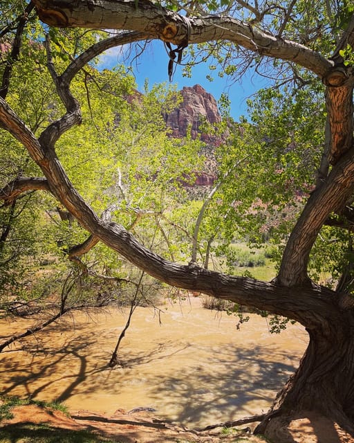 Springdale: Guided Ebike Tour in Zion National Park - Post-Tour Reflections