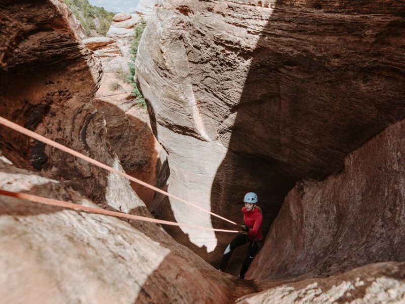 Springdale: Half-Day Canyoneering and Climbing Adventure - Experience Highlights