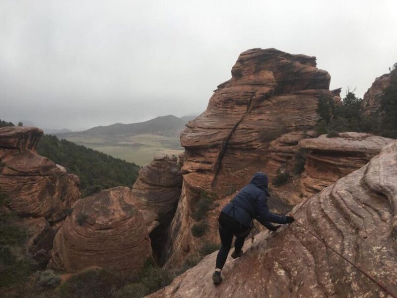 Springdale: Half-Day Canyoneering Experience - Key Points
